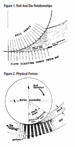 Roll and Die Relationahips / Physical Forces