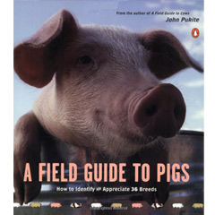 A Field Guide to Pigs (Paperback)