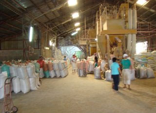 More feed mills needed in Visayas and Mindanao