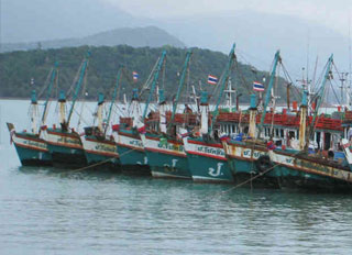 Thai Feed Mill Association drafts road map for sustainable fisheries