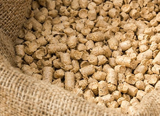 Compound feed consumption to reach 28m tonnes by 2017