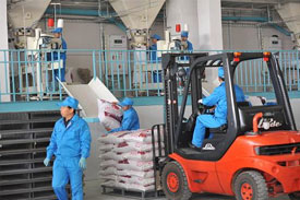 Ningxia feed processing industry output reaches 1.56 billion RMB