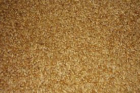 Feed wheat outpaces milling wheat on rising animal-fodder demand