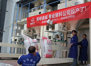 Tongwei enters pig feed production