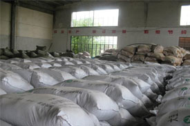 China's feed industry: 2009 review and a look at this year's expectations