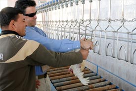 Al Kanz poultry processing plant reopens