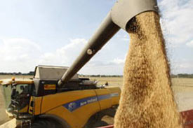 Russia will need to import feed grains