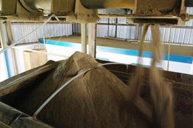 Tassal's tests feed compare feeds with fishmeal