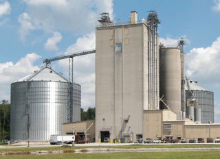 Tougher German feed laws