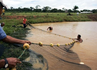 Brazil's MPA announce aquaculture programs