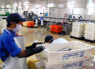 Saudi Fisheries aqua-feed mill plans approved