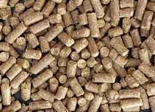 Poultry and cattle feed pellet plants inaugurated in Imphal