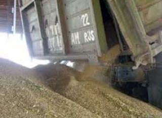 IFC to invest in feed production, Tajikistan