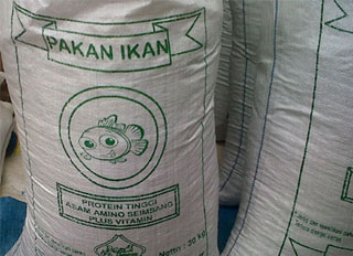 Jambi Provincial Government to build floating fish feed factory