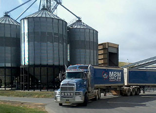 MSM milling increases number of feed mills