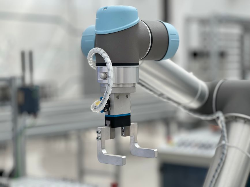 Nasekomo completes automated Black Soldier Fly reproduction facility to supply insect protein inputs