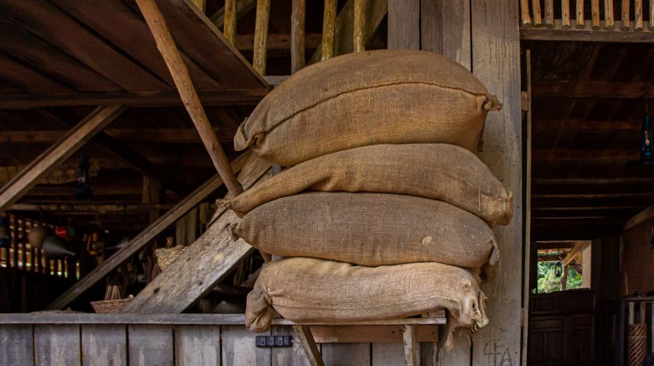 Brazil levies 26–132.6% anti-dumping duties on Chinese feed-grade lysine