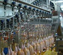 Poultry firm invests R70m in processing plant, support services 