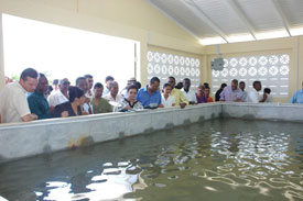 Guyana/Brazil collaboration to further boost aquaculture