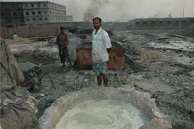 Call for stopping use of poisonous tannery waste in poultry feed