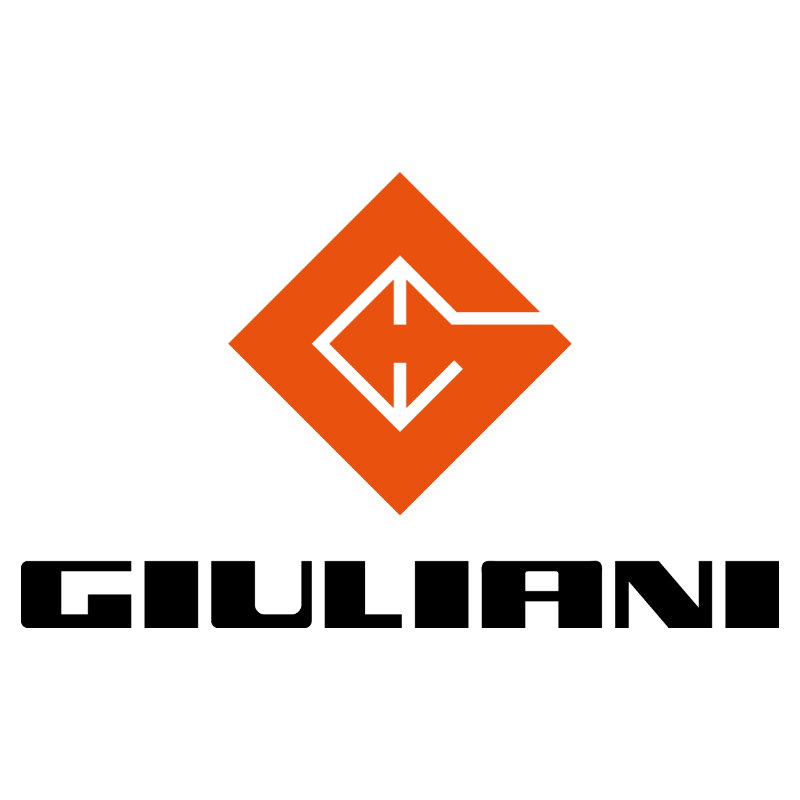 Giuliani Group logo