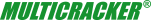 PTW Technologies GmbH logo