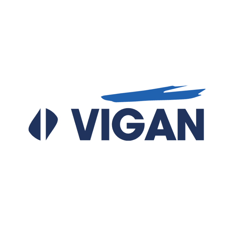 Vigan Engineering S.A. logo