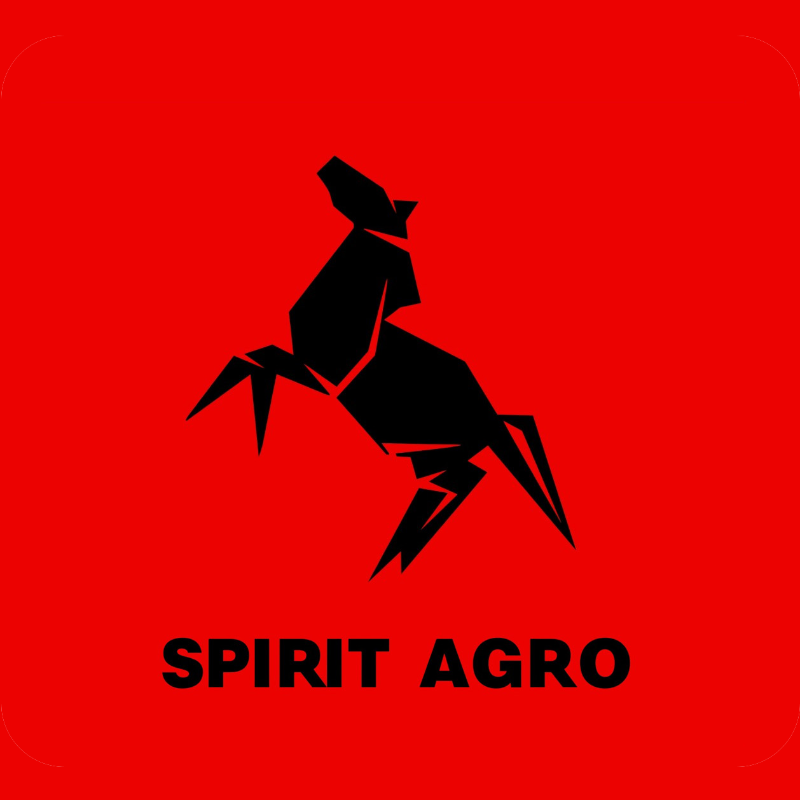 Spirit Inter Group Co., Ltd logo