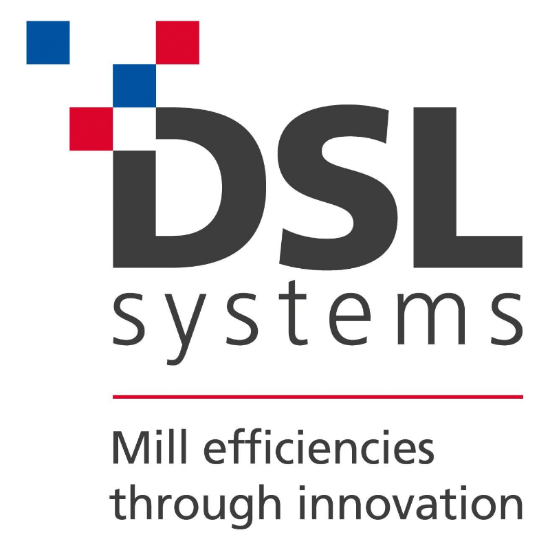 DSL Systems Ltd logo
