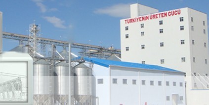 Turnkey feed mill engineering