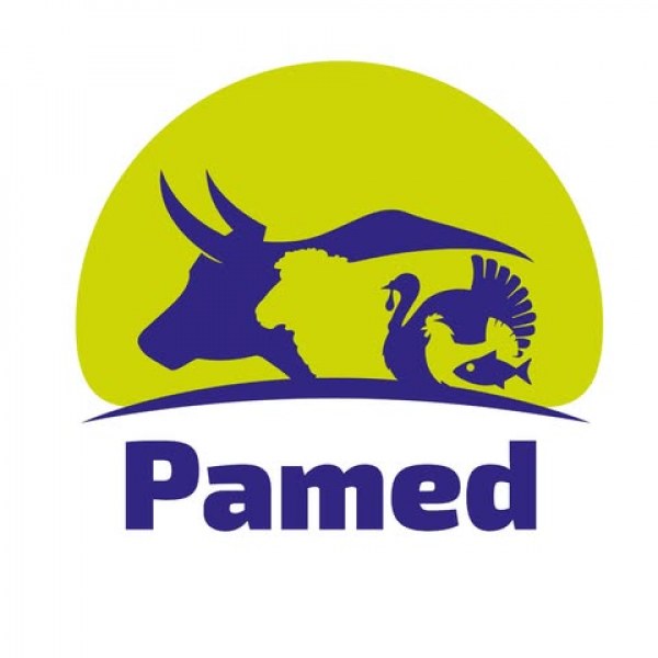 PAMED 2013