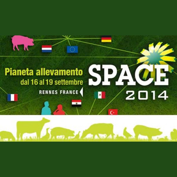 SPACE 2014