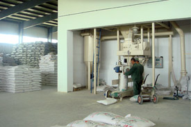 Two new feed mills completed in Chongqing