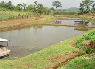 Kenyan fisheries ministry donate fish feed mill machinery