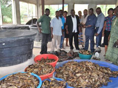 200 Fish farmers trained in feed production