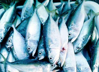 Thai organisations sign MoU on fisheries