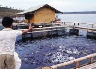 Thai aquaculture industry vows to stop illegal labour
