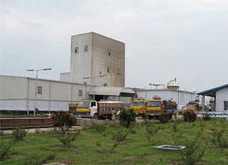 Ground broken on Godrej Agrovet's Hajipur poultry feed mill
