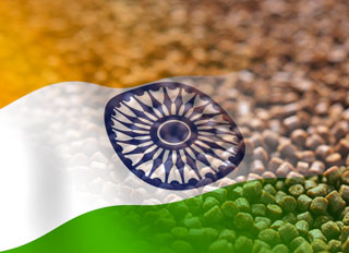 Aquafeed demand in India forecast to reach 7 million tonnes by 2017-18