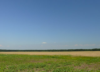 Ground broken on new Bulgarian-Chinese JV feed mill in Dobrich