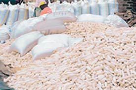 PAZ bemoans shortage of affordable maize