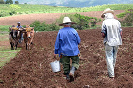 Cuban Animal Feed Mill Opens in Las Tunas