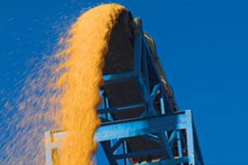 4 Cargoes of US corn due in China in July