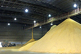 Poultry feed output sustained in Brazil